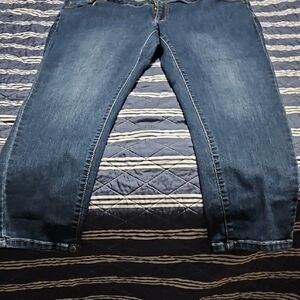 Woman Within Classic Blue Jeans